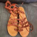 American Eagle Gladiator Sandals Photo 0