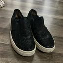 Sofft shoes Black Size 7.5 Photo 0