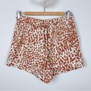 n:philanthropy  GG Soledad Sweatshirt & Shorts Set Camel Animal Smudge Photo 6