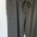 Well Worn  Los Angeles Light Gray Jogger with Stars Photo 1