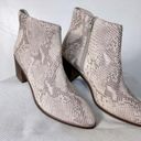 Seychelles  NEW Occasion Nueutral Snake Print Ankle Boot- Size 8 Photo 3