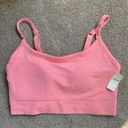 Aerie Pink Bra Top Photo 0