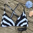 Tavik swim Black and White Striped Tavik Vivienne Triangle Bikini Top Photo 2