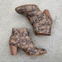 Coconuts by Matisse  Helga Animal Print Snake Print Buckle Ankle Booties size 8 Photo 0