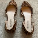 Restricted Shoes Woman's Leopard Flat Shoes Size 9 Photo 2