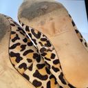 ZARA  Kitten Heel Fall Trend Leopard Print Shoes Photo 5