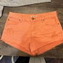 Billabong Denim Shorts Photo 0