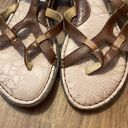 Born concept BOC  New brown leather strappy sandal 8 Photo 1