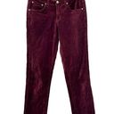 Day & Night Sundance  Velveteen Jeans Pants Purple Size P6 Petites Photo 0