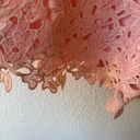 Lane Bryant  Pink Lace shorts, size 18/20 Photo 8