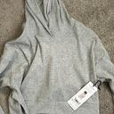 Alo Yoga Gray Muse Sweatpants and Muse Hoodie Set Photo 0