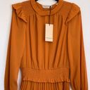 Scotch & Soda NWT  Pleated Smocked Ruffle Mini Dress in Spice Photo 2