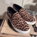 Soda Cheetah Print Shoes Photo 0