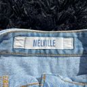 Brandy Melville  denim skirt Photo 3