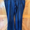 Paris Blues  Jeans Womens Plus 25 Long High Rise Bootcut Dark Wash Stretch (2104) Photo 0