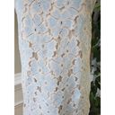 Dee Elle  Blue Cream Lace Floral Short Sleeve Knee Length Shift Dress Size Small Photo 2