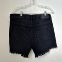 Aeropostale NWT Aero 90's High Rise Cut-Off Shorts 4" , Size 8 Photo 4