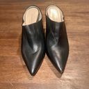 PARKE NWOB Marion  Mona High Heel Pointed Mules Photo 3