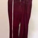 Tommy Hilfiger  Maroon Corduroy Bootcut Pants - Size 10 Photo 6