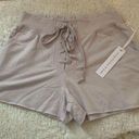 Young Fabulous and Broke  Grey Shorts Size Small NWT Photo 0