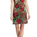 Dolce & Gabbana NWOT  rose leopard print dress Photo 0