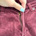 Day & Night Sundance  Velveteen Jeans Pants Purple Size P6 Petites Photo 2