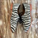 DV by Dolce Vit DV Dolce Vita Drew Zebra Print Oxford Shoes Photo 8