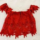 ASTR red cropped design top Photo 1