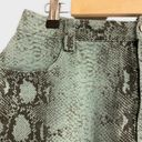 American Threads NWT  Mini Skirt Mint Snakeskin Medium Photo 1