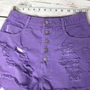 Bongo 🌴 Vintage High Rise Ripped Purple Shorts Photo 6