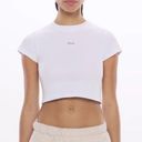 Madhappy New  Classics Ribbed Baby White Tee Sz MEDIUM Photo 0