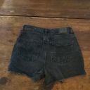 American Eagle Jean Shorts Photo 1