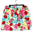 Talbots Vintage Vibrant Rose  Skirt 14 Photo 1