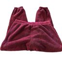 Eddie Bauer  women's TXL maroon plush fleece joggers Photo 1