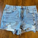 American Eagle Outfitters Shorts Photo 0