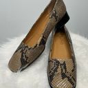 LAUREN RALPH LAUREN Snakeskin Leather Slip On Low Heel Pumps Tan Size 8.5 Photo 0