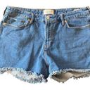 Dear John  GiGi shorts high rise size 32 cut off Photo 0