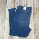 Talbots  Straight Leg Jeans Photo 6