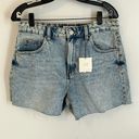 ZARA  High Rise Denim Dad Shorts Photo 0