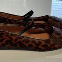 Madewell The Greta Ballet Flat SZ 8 NN047 SOLD OUT Photo 7