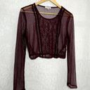 Self Esteem Maroon Lace Mesh Long Sleeve Crop Top Photo 3