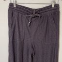 Anthropologie  Saturday Sunday Loungewear Jogger Sweatpants Gray Size Medium Photo 1