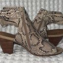 Baretraps  Snake Print Heels Size 7 Photo 3