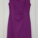 Kay Unger  Purple Ruched Sheath Dress Photo 0