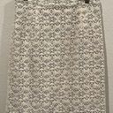 Anthropologie EDME AND ESYLLTE ‘Aine’ Lace Overlay Ivory Green Pencil Skirt Photo 0