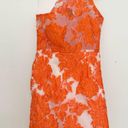 Hello Molly  MOVING ON OUT DRESS ORANGE mini size XS event wedding guest Photo 3