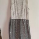 Kensie  Oatmeal Grey Lace Crochet fit & flare dress Photo 0