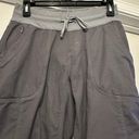 The North Face Tech Pants are a Women’s Size S/P. Photo 1