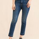 Pilcro  by Anthropologie Cigarette Slim Straight Jeans Size 32 W754 Photo 3