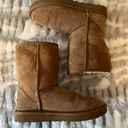 UGG Brown  Boots Photo 0